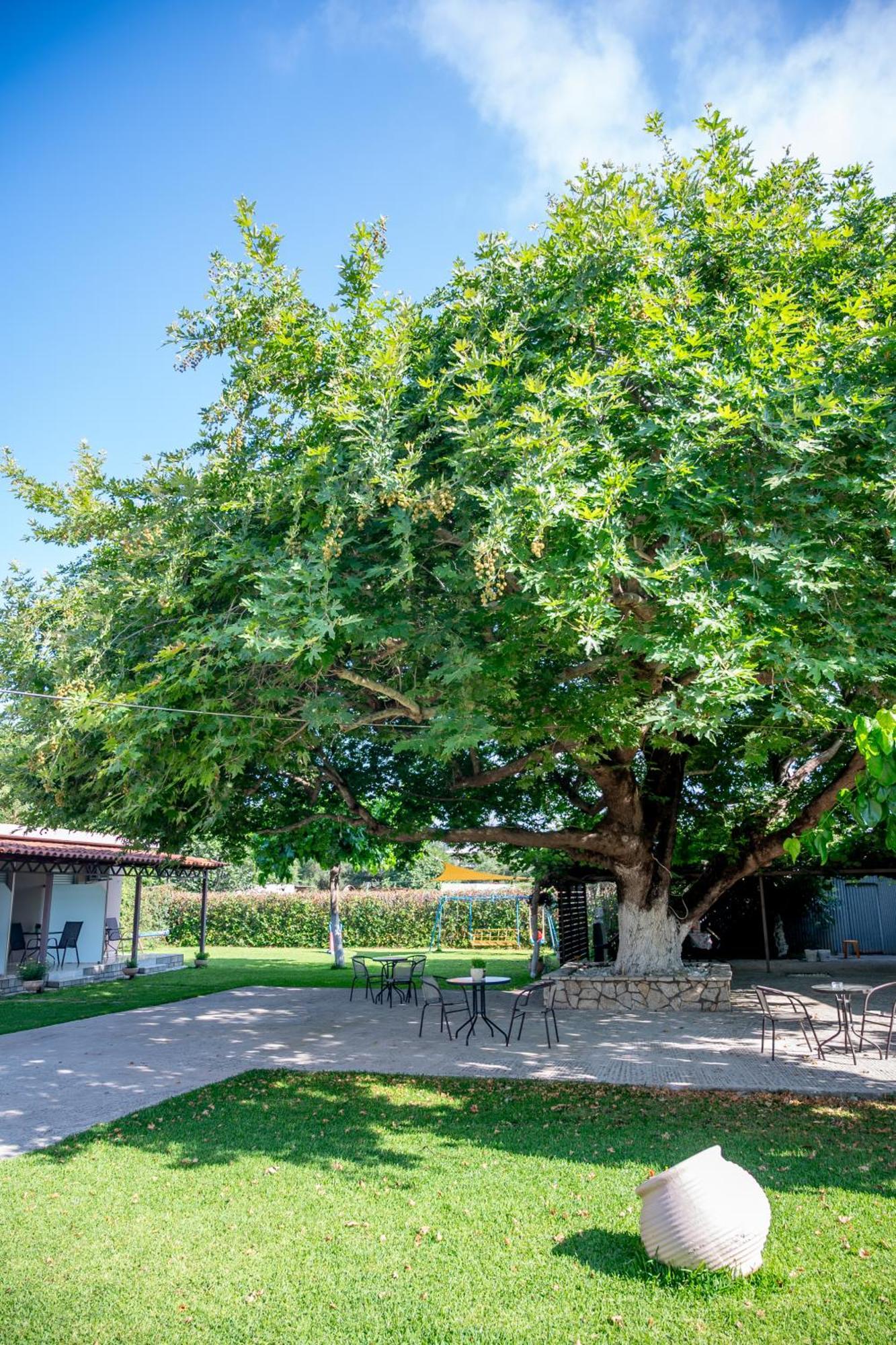 Paradisos Preveza Luaran gambar